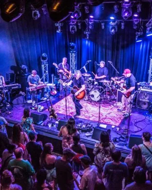 Mountain Grass Unit Detroit