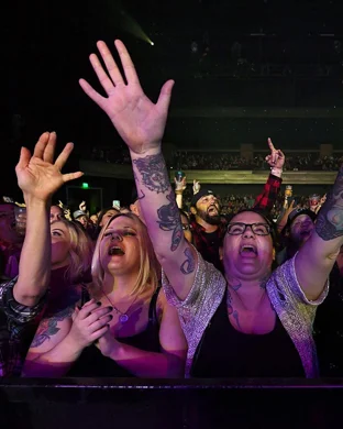 Gimme Gimme Disco Detroit