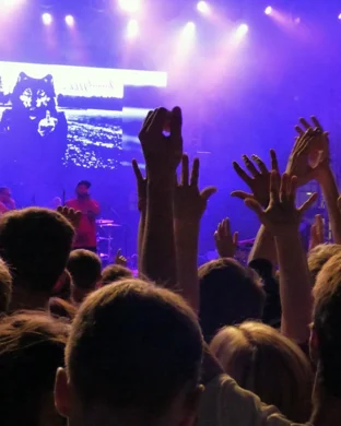 The Telescreens Detroit