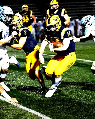 Augustana Vikings Sioux Falls
