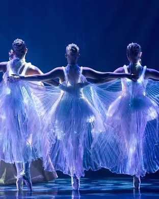 Ballet of Lights: Sleeping Beauty in a Sparkling Show