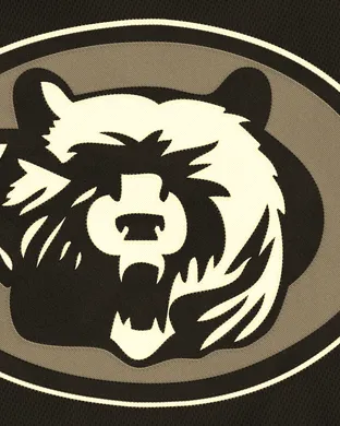 Chicago Bears Detroit