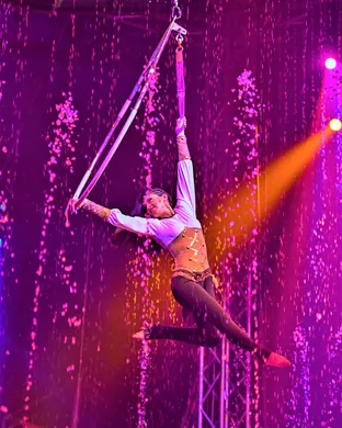Cirque Italia Ann Arbor