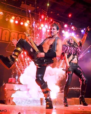 Hairball Sylvania