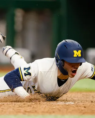 Michigan Wolverines Baseball Ann Arbor