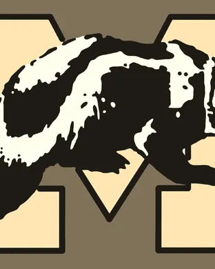 Michigan Wolverines Football Ann Arbor