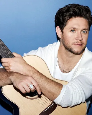 Niall Horan Detroit