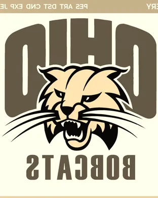 Ohio Bobcats Ann Arbor