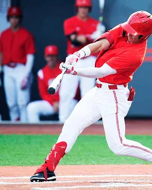 Ohio State Buckeyes Baseball Ann Arbor