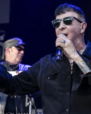 Soft Cell Detroit