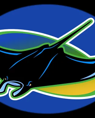 Tampa Bay Rays St Petersburg