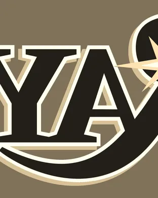 Tampa Bay Rays Detroit