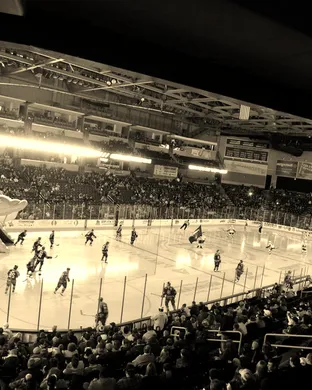 Toledo Walleye Toledo