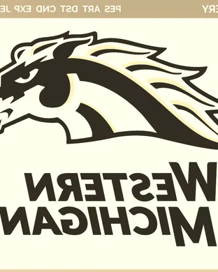 Western Michigan Broncos Football Ann Arbor