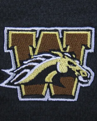 Western Michigan Broncos Kalamazoo