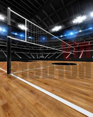 Northwestern Wildcats Women's Volleyball vs. Michigan Wolverines