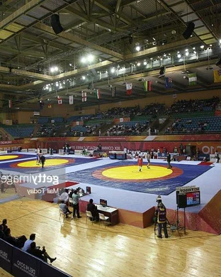 MHSAA Wrestling Finals Detroit