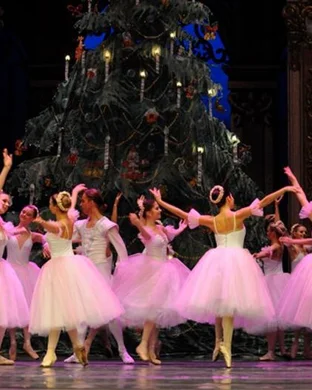 World Ballet Company Ann Arbor